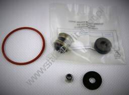 Pump repair kit  U4810 ; 30749A