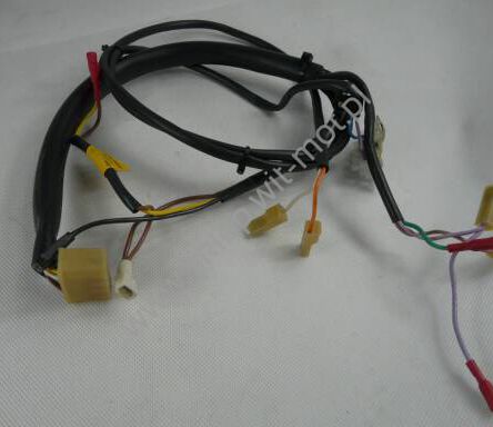 Wiring harness DBW 2020/300   359939