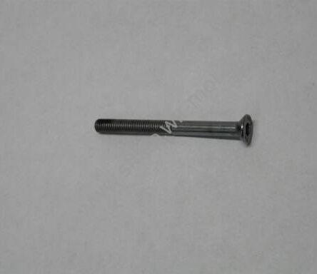 Fuel pump screw 2710958B M5x55