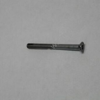 Fuel pump screw 2710958B M5x55